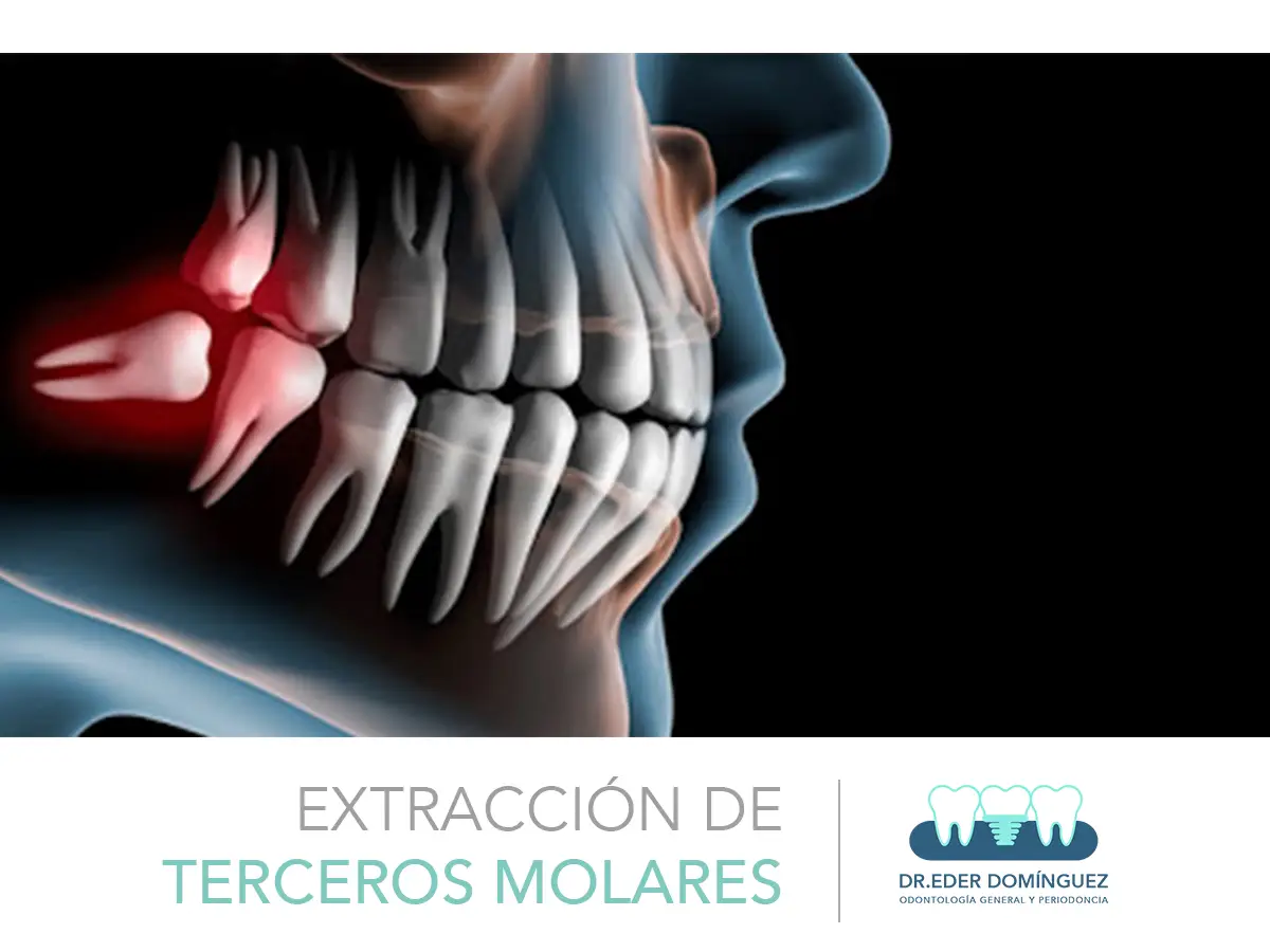 Diseño gráfico, Foto y Video en Chihuahua