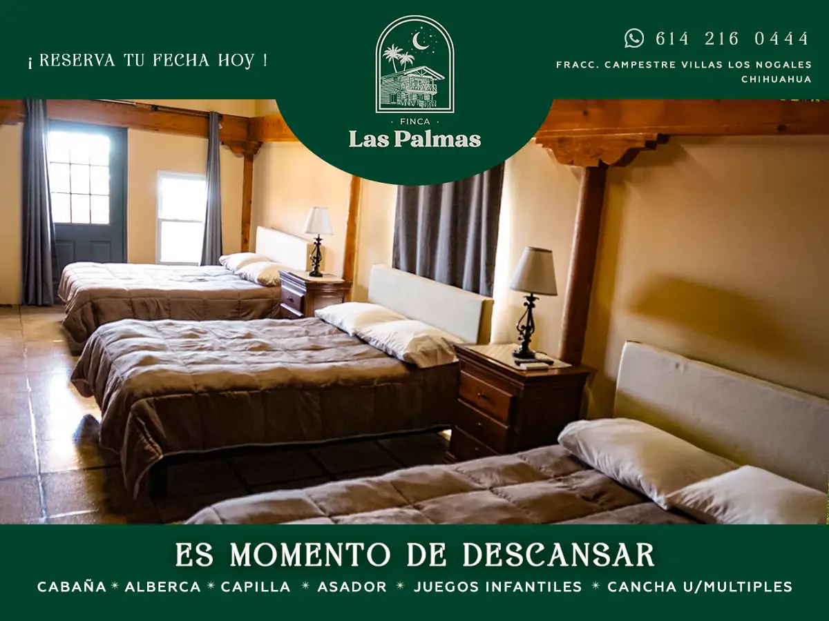 Diseño gráfico, Foto y Video en Chihuahua